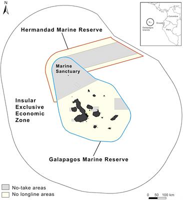 Addressing illegal longlining and ghost fishing in the Galapagos marine reserve: an overview of challenges and potential solutions